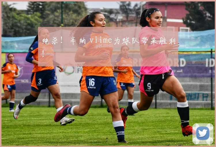 绝杀！辛纳 viime为球队带来胜利！