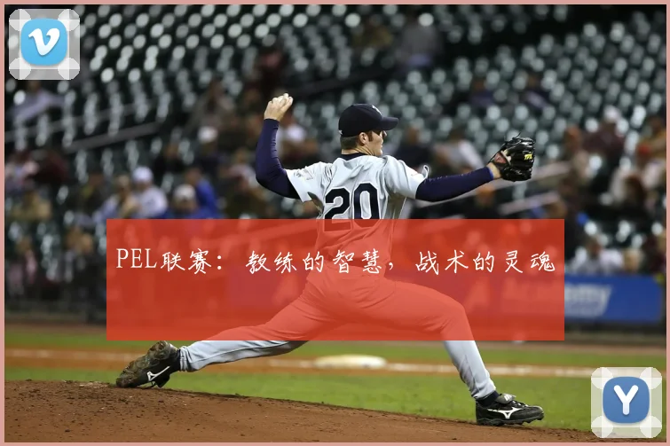 PEL联赛：教练的智慧，战术的灵魂
