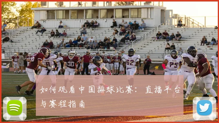 如何观看中国排球比赛:直播平台与赛程指南