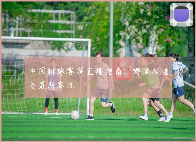 中国排球赛事直播指南：哪里观看与最新赛况