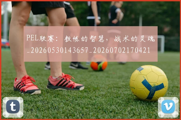 PEL联赛：教练的智慧，战术的灵魂_20260530143657_20260702170421