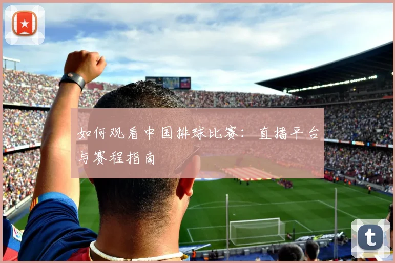 如何观看中国排球比赛：直播平台与赛程指南