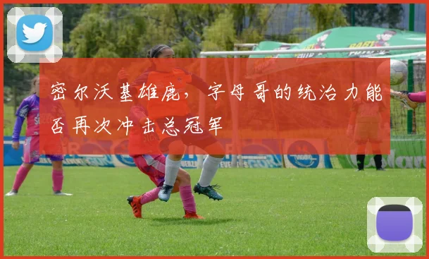 密尔沃基雄鹿,字母哥的统治力能否再次冲击总冠军