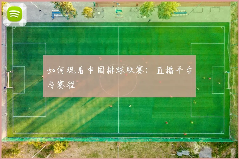 如何观看中国排球联赛:直播平台与赛程