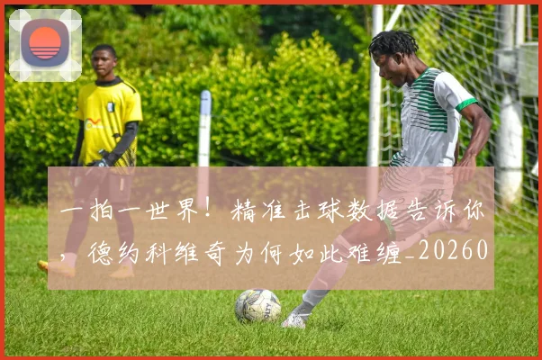 一拍一世界！精准击球数据告诉你，德约科维奇为何如此难缠_20260530144200